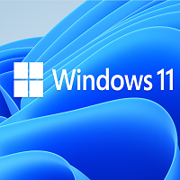 Windows 11低配版
