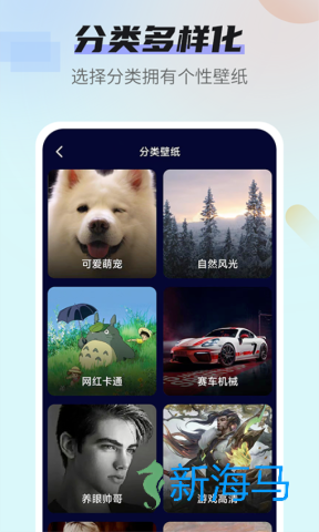 番茄动态壁纸 第1张图