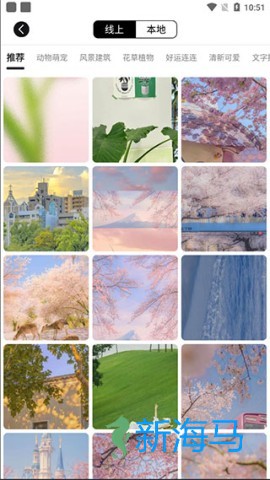 元气小组件 第4张图