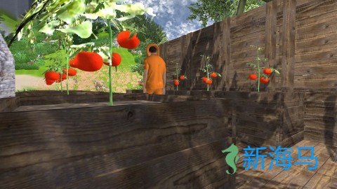 生存与建造 第2张图