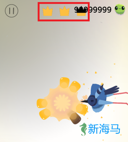 疯狂的鸽子 第3张图