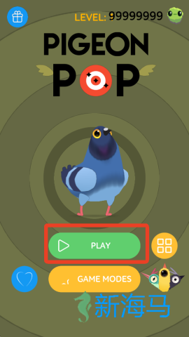 疯狂的鸽子 第1张图