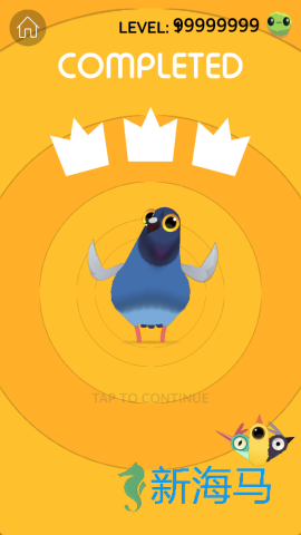 疯狂的鸽子 第4张图