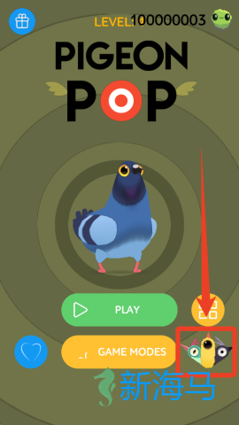 疯狂的鸽子 第8张图