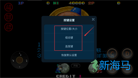 雪人兄弟 第2张图