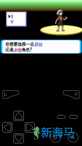 口袋妖怪绿宝石 第10张图