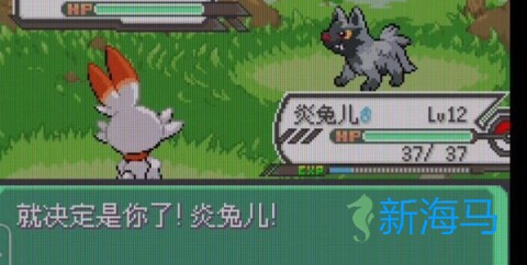 口袋妖怪绿宝石 第5张图
